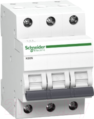 Выключатель автоматический Schneider Electric A9K01306