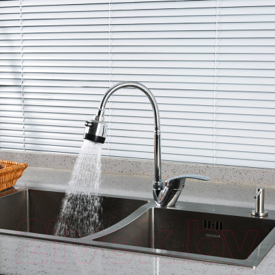 Изображение товара Смеситель Frud R40055-1