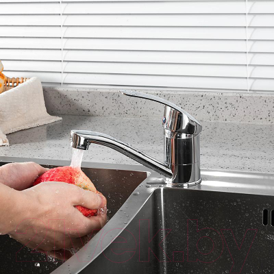 Изображение товара Смеситель Frud R45055