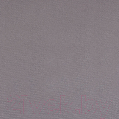 Рулонная штора АС ФОРОС Плейн 7503 38x175 (темно-серый)