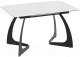 Обеденный стол ТриЯ Конкорд тип 2 (черный муар/стекло матовое белый мрамор) - 