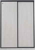 Шкаф-купе Ивару Винтер 6.16 1600 без зеркала (винтерберг/темно-серый) - 