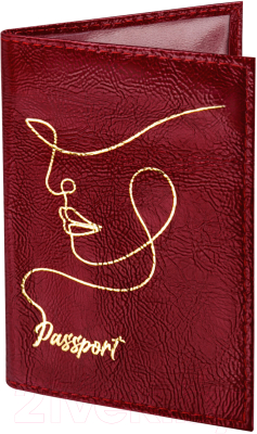 Обложка на паспорт Brauberg Impression / 238211 (красный)
