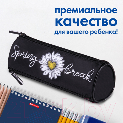 Пенал Brauberg Spring / 270840