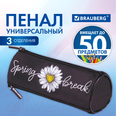 Пенал Brauberg Spring / 270840