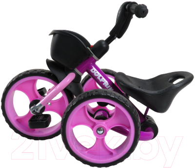Трехколесный велосипед Maxiscoo Dolphin 2023 / MSC-TCL2301VL (фиолетовый)