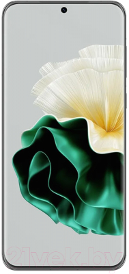 Смартфон Huawei P60 8GB/256GB / LNA-LX9 (зеленый)