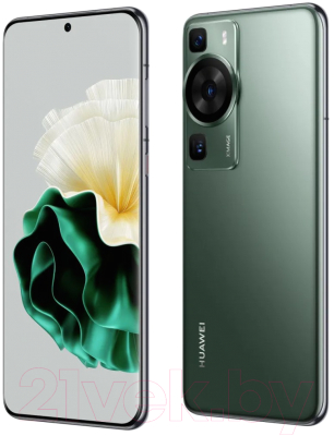 Смартфон Huawei P60 8GB/256GB / LNA-LX9 (зеленый)