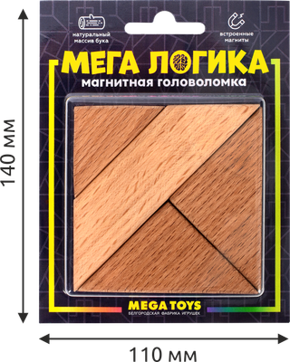 Игра-головоломка Leader Toys Магнитная головоломка 15941