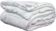 Одеяло AlViTek Fluffy Dream 172x205 / ОЖЛ-20 (белый) - 