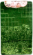 Миниатюра изображения товара Коврик для ванной Shahintex Vintage 60x80 (зеленый 01)