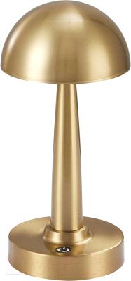 Прикроватная лампа Kinklight Хемуль 07064-C.20 (бронза)