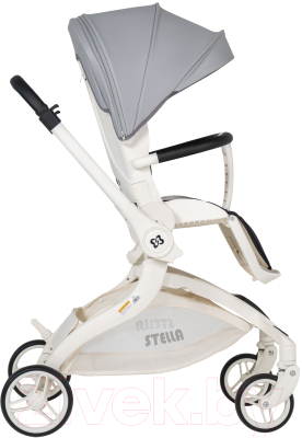 Детская прогулочная коляска Farfello Stella / STL-2 (уникальный серый)