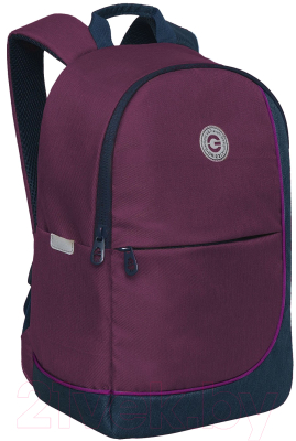 Школьный рюкзак Grizzly RD-345-2 (фиолетовый/синий)
