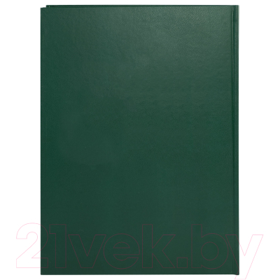 Книга учета Brauberg 130277 (96л, зеленый)