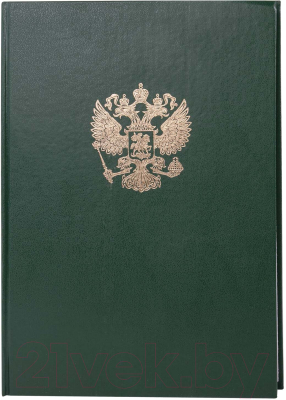 Книга учета Brauberg 130277 (96л, зеленый)