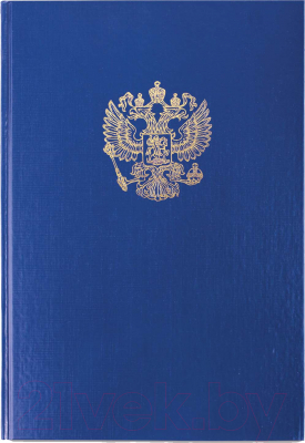 Книга учета Brauberg 130141 (96л, синий)
