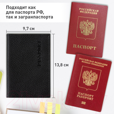 Обложка на паспорт Brauberg Passport / 238192 (черный)