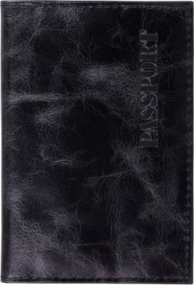 Обложка на паспорт Brauberg Passport / 238198 (черный)