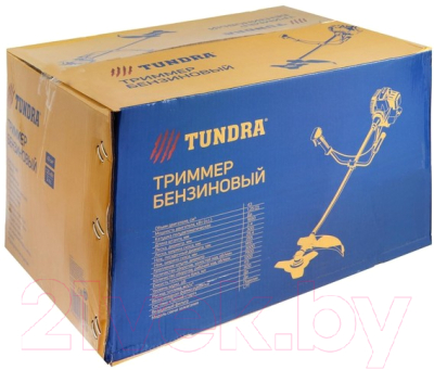 Триммер бензиновый Tundra Easy-start 5513385