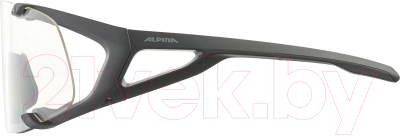 Очки солнцезащитные Alpina Sports Hawkeye (черный матовый)