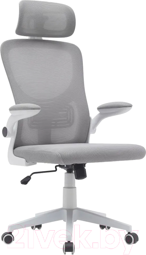 Кресло офисное TopChairs Airone D-502-1