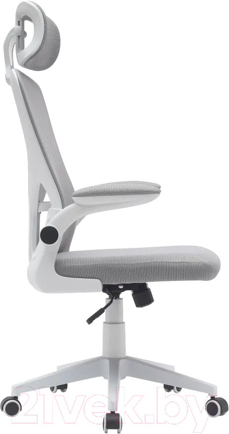 Кресло офисное TopChairs Airone D-502-1