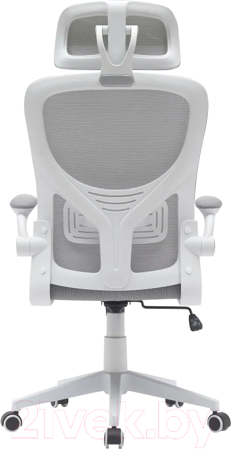 Кресло офисное TopChairs Airone D-502-1