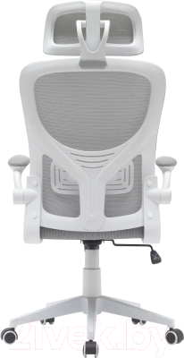 Кресло офисное TopChairs Airone D-502-1 (белый)