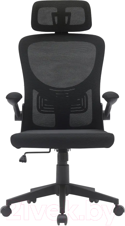 Кресло офисное TopChairs Airone D-502