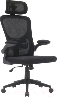 Кресло офисное TopChairs Airone D-502 (черный)