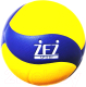 Мяч волейбольный ZEZ Sport V200 - 