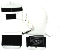 Перчатки для карате ZEZ Sport MIT-XL - 