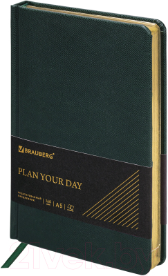 Ежедневник Brauberg Iguana / 114457 (160л, темно-зеленый)