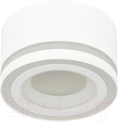 Точечный светильник ЭРА OL51 WH / Б0059804 (белый)