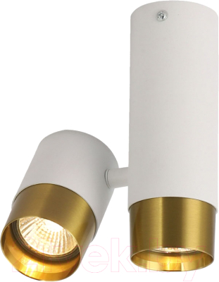 Точечный светильник Lussole Gilbert LSP-8829