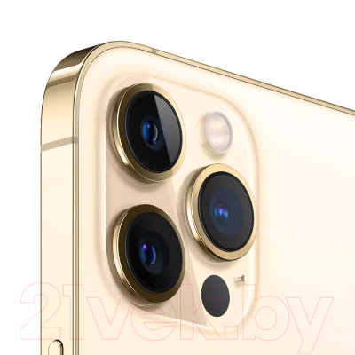 Смартфон Apple iPhone 12 Pro Max 256GB / 2BMGDE3 восстановленный Breezy Грейд B (золото)