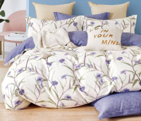 

Комплект постельного белья AlViTek, Сатин Дуэт / CA-7-663