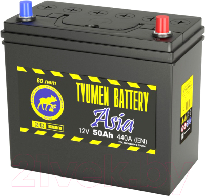 Автомобильный аккумулятор Tyumen Battery Premium 6CT-50LR (50 А/ч)