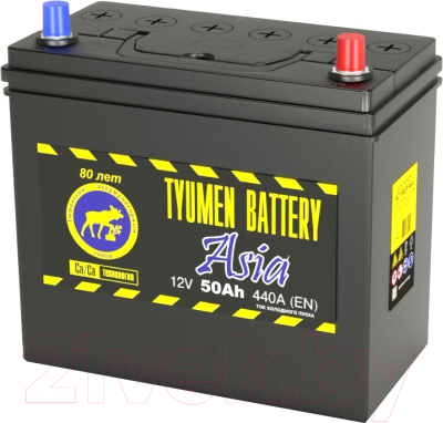 Автомобильный аккумулятор Tyumen Battery Premium 6CT-50LR