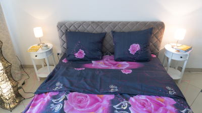 Комплект постельного белья Changyi Baiyi Textile Персидские розы в ночи 1.5