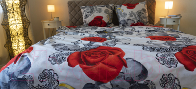 Комплект постельного белья Changyi Baiyi Textile Красные розы в серебре Евро