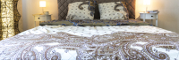 Комплект постельного белья Changyi Baiyi Textile Узоры в цвете шампаня 1.5 - 