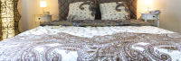 

Комплект постельного белья Changyi Baiyi Textile, Узоры в цвете шампаня Евро