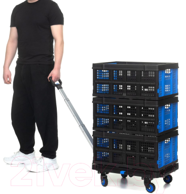 Изображение товара Тележка платформенная Стелла-техник FW-99HA