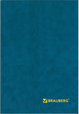 Книга учета Brauberg 130184 (208л)