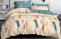 

Комплект постельного белья LUXOR, №12552-3 А/В евро-стандарт