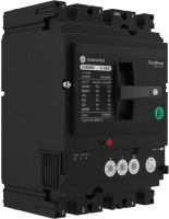 Выключатель автоматический Schneider Electric SPC250F250L3DF - 