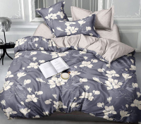 

Комплект постельного белья LUXOR, №2243 y5d A/B (K) Евро-стандарт