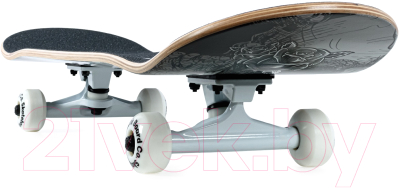 Скейтборд Plank Infinity P23-SKATE-INFINITY